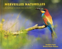 MERVEILLES NATURELLES - Le Gâtinais va encore vous enchanter