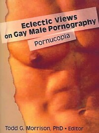 Eclectic Views on Gay Male Pornography