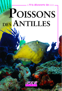 Poissons des Antilles