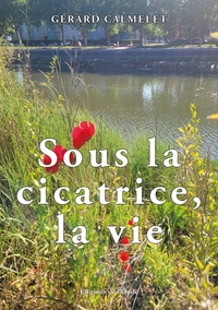 Sous la cicatrice, la vie