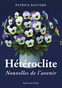 HETEROCLITE