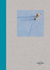 Lonely Planet Small Notebook - Polar Bear 2016 -anglais-
