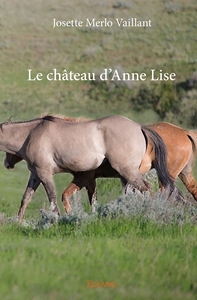 Le château d'Anne Lise