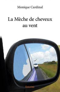 La mèche de cheveux au vent