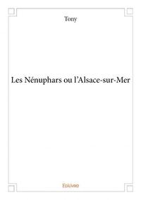 Les nénuphars ou l'alsace sur mer