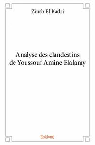 Analyse des clandestins de youssouf amine elalamy