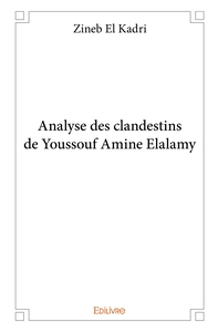 Analyse des clandestins de Youssouf Amine Elalamy