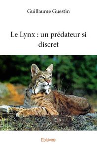 Le lynx : un prédateur si discret