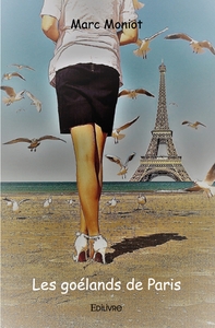 Les goélands de Paris
