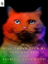 WILL THERE EVER BE ANOTHER YOU