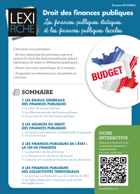 Droit des finances publiques