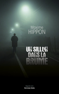 Un sillon dans la brume
