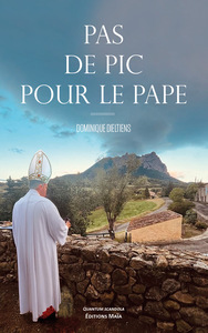 Pas de pic pour le pape