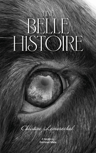 Une belle histoire