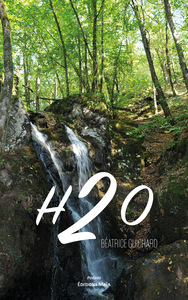 H2O