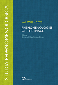 Phenomenologies of the Image