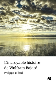 L'INCROYABLE HISTOIRE DE WOLFRAM BAJARD