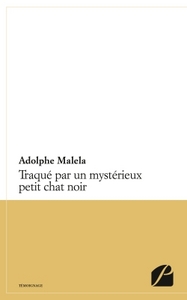 TRAQUE PAR UN MYSTERIEUX PETIT CHAT NOIR