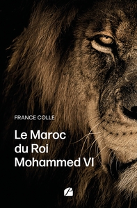 Le Maroc du Roi Mohammed VI