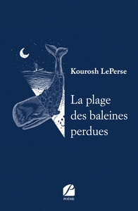LA PLAGE DES BALEINES PERDUES