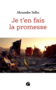 JE T'EN FAIS LA PROMESSE