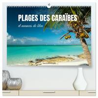Plages des Caraïbes et nuances de bleu (Calendrier mural haut de gamme 2027 DIN A2 vertical), CALVENDO calendrier mensuel