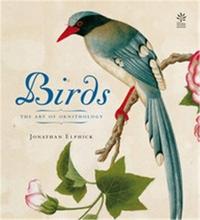 Birds /anglais