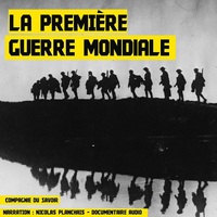 LA PREMIERE GUERRE MONDIALE  1914-1918