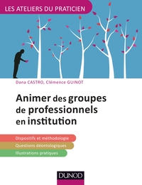 ANIMER DES GROUPES PROFESSIONNELS EN INSTITUTION