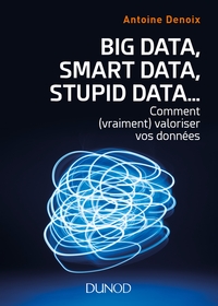 Big Data, Smart Data, Stupid Data... comment (vraiment) valoriser vos données