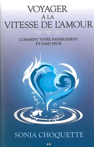 Voyager à la vitesse de l'amour