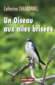 Un oiseau aux ailes brisées