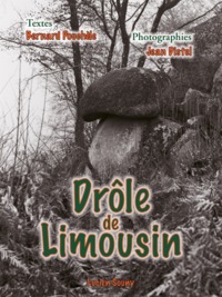 Drôle de Limousin