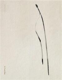 TXEMA YESTE NEEDLES /ANGLAIS/ESPAGNOL