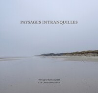Paysages intranquilles