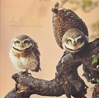 BEAUTIFUL OWLS IN THE WORLD /ANGLAIS