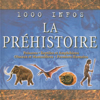 La Préhistoire