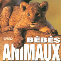 Bébés animaux