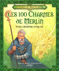 Les 100 charmes de merlin