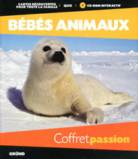 Coffret passion bébé animaux + CD-ROM interactif