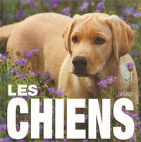 Les chiens