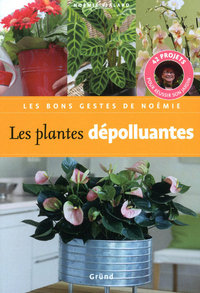 Les plantes dépolluantes