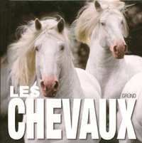 Les chevaux