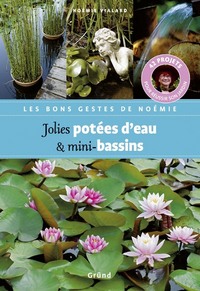 Jolies potées d'eau et mini-bassins