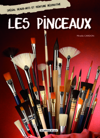 GUIDE D'UTILISATION  DES PINCEAUX