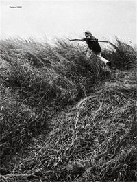 Tomas Wuthrich Ferme No. 4233 /franCais