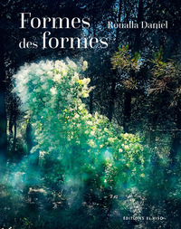 Roualla Daniel - Formes des formes