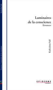 Errances - Laminaires de la conscience