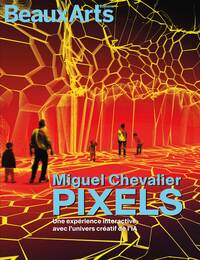 Miguel Chevalier – Pixels. Une expérience interactive avec l’univers créatif de l’IA