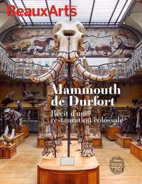 Mammouth de Durfort, récit d'une restauration colossale